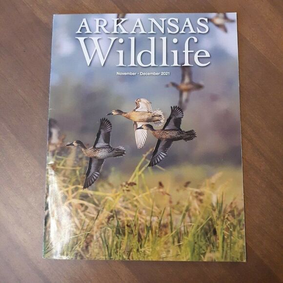 Lot of 5 Arkansas Wildlife Magazine 2021 Whole year - Picture 5 of 6